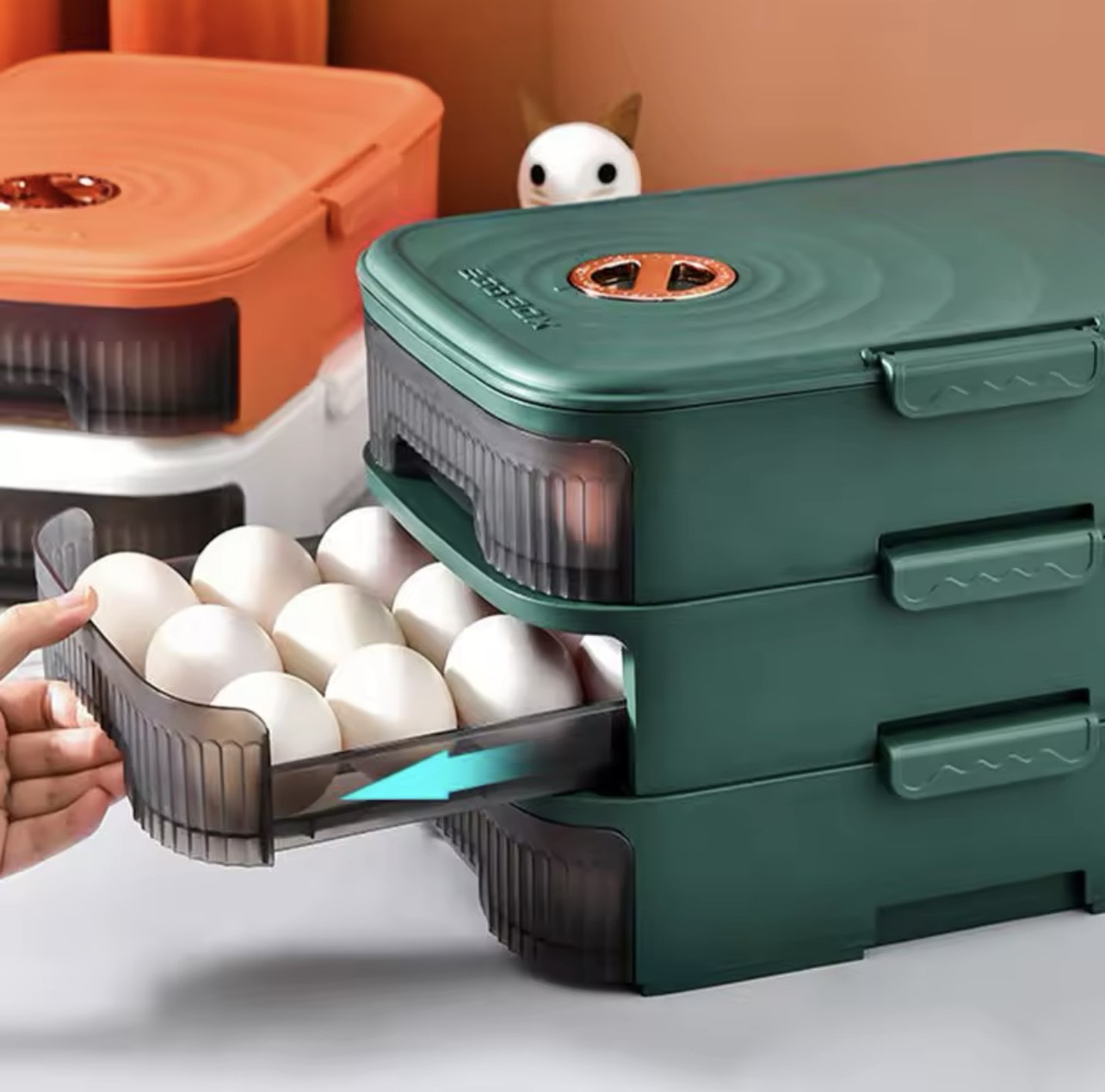 ORGANIZADOR DE HUEVOS