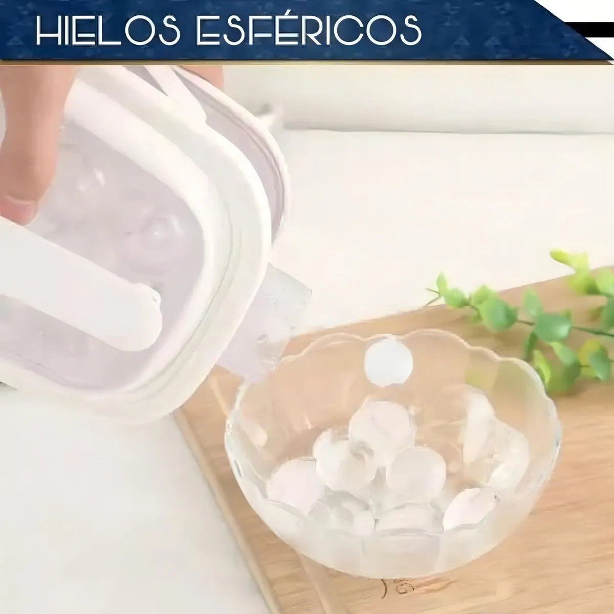 BOTELLA HIELERA