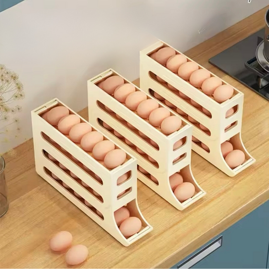 ORGANIZADOR DE HUEVOS X21